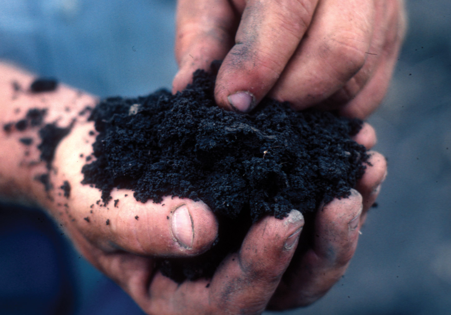 Soil Health